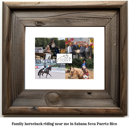 family horseback riding near me in Sabana Seca, Puerto Rico